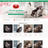 Theme wordpress bán ghế massage 3