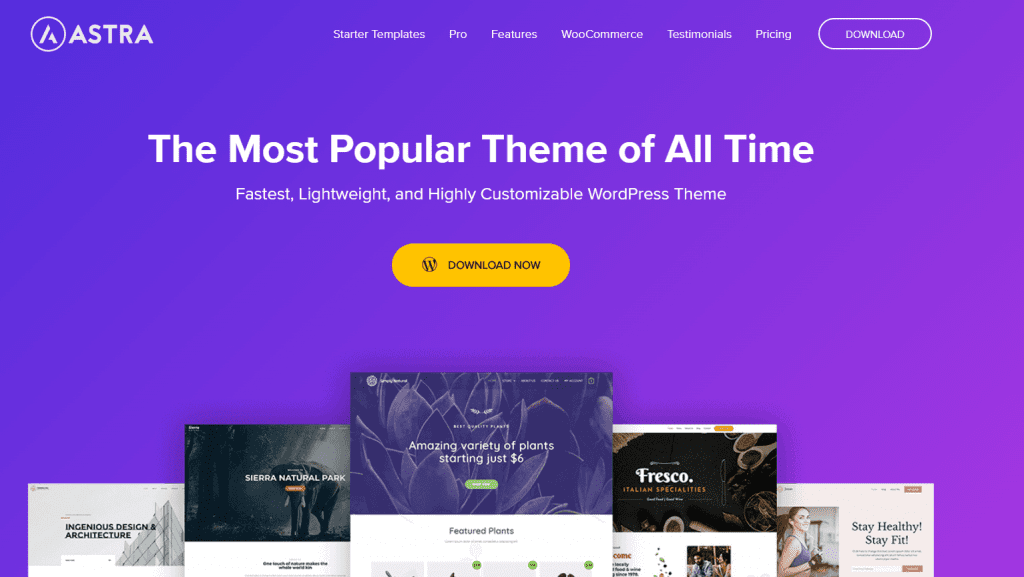 Astra là một trong những Theme bán chạy nhất trên nền tảng WordPress