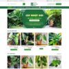 Theme WordPress bán cây xanh 02