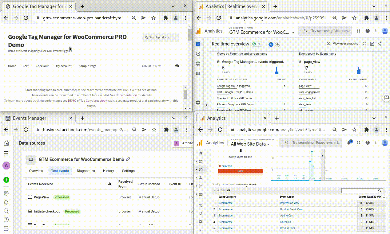 gtm ecommerce woo demo crop