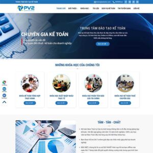 Theme WordPress kế toán 02