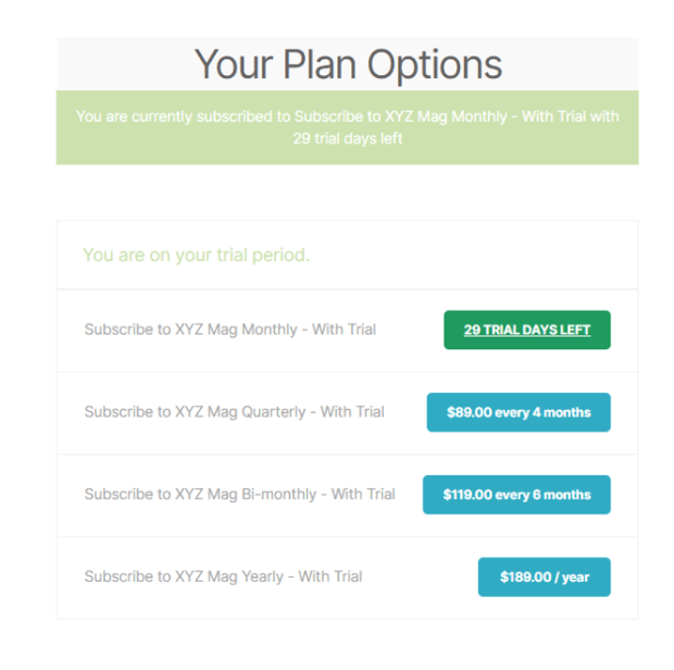 One Page Subscription Switch 5