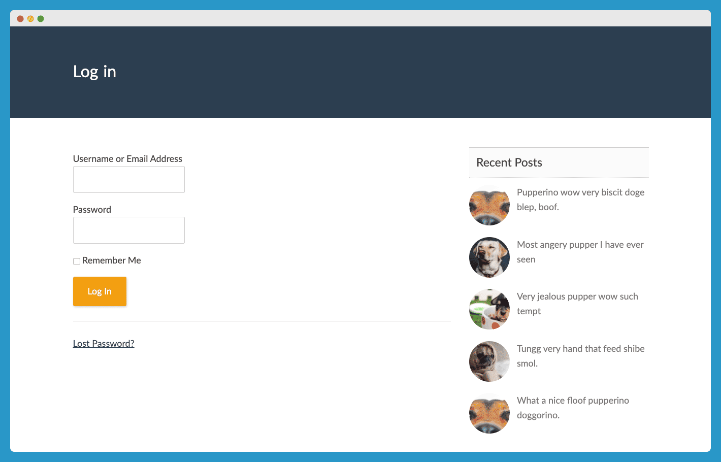 pmpro login page