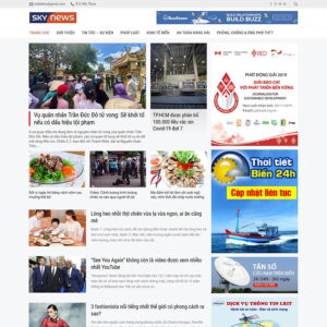 Theme WordPress tin tức 17